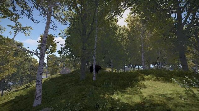 Встреча с медведем в лесу Rust, опасный момент смотреть онлайн