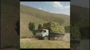 Едет КАМАЗ 45 — сеновоз под heavy metal