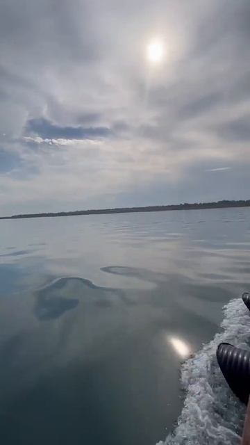 Lnvitation From A Siberian Woman On The Lake
