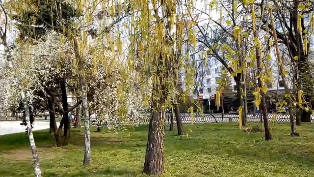 🌿 МЕСЯЦ МАЙ 🌸 смотреть онлайн