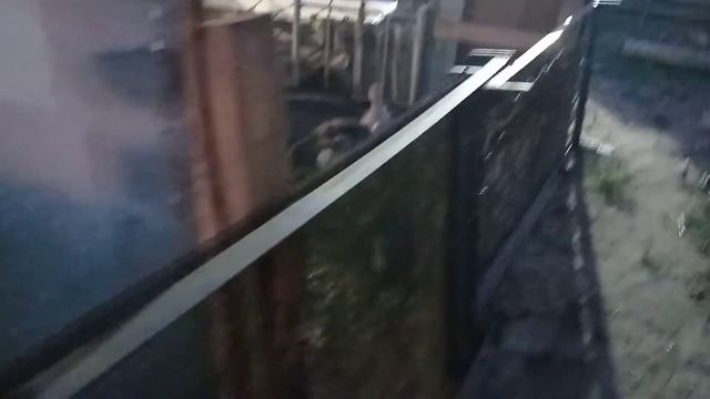 Птичий двор!!! смотреть онлайн