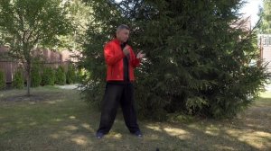 Почему мы теряем Жизненную Энергию Мнение традиционной китайской медицины