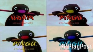 4 Pingu Outros