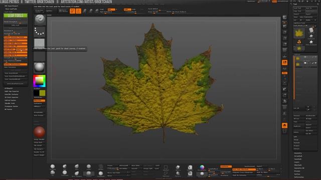Leaf Tools - Workflow Overview смотреть онлайн
