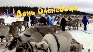 День оленевода 2025 в Ноябрьске.