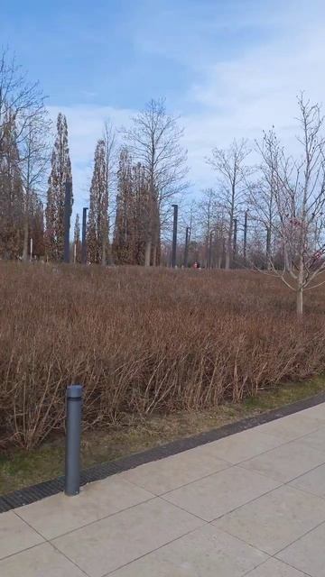 весна в парке краснодар смотреть онлайн