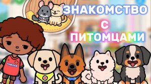 ЗНАКОМСТВО С ПИТОМЦАМИ 🐱🐶 Milli toca_Toca boca_Toca World_Toca life _ Милли Тока _тока_тока бока