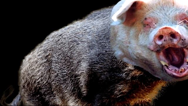 Провалился под пол||Монтаж||Unterned|PUBG смотреть онлайн