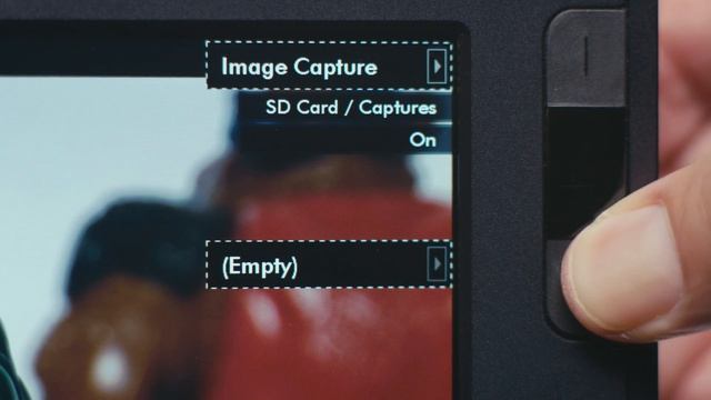 DP7-Pro Image Capture/Image Overlay Demo смотреть онлайн