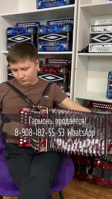 Парень задорно сыграл казачью песню на мини гармошке! #гармонь #гармошка #купитьгармонь #шуйская смотреть онлайн