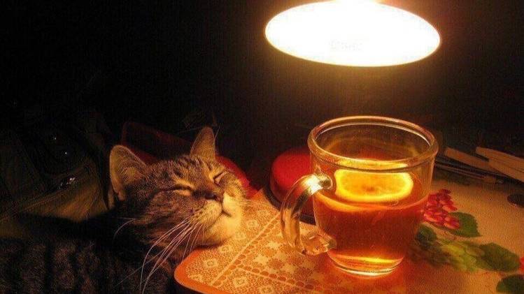 POSTPUNK DOOMER WAVE | СЧАСТЬЕ НЕ ЗА ГОРАМИ