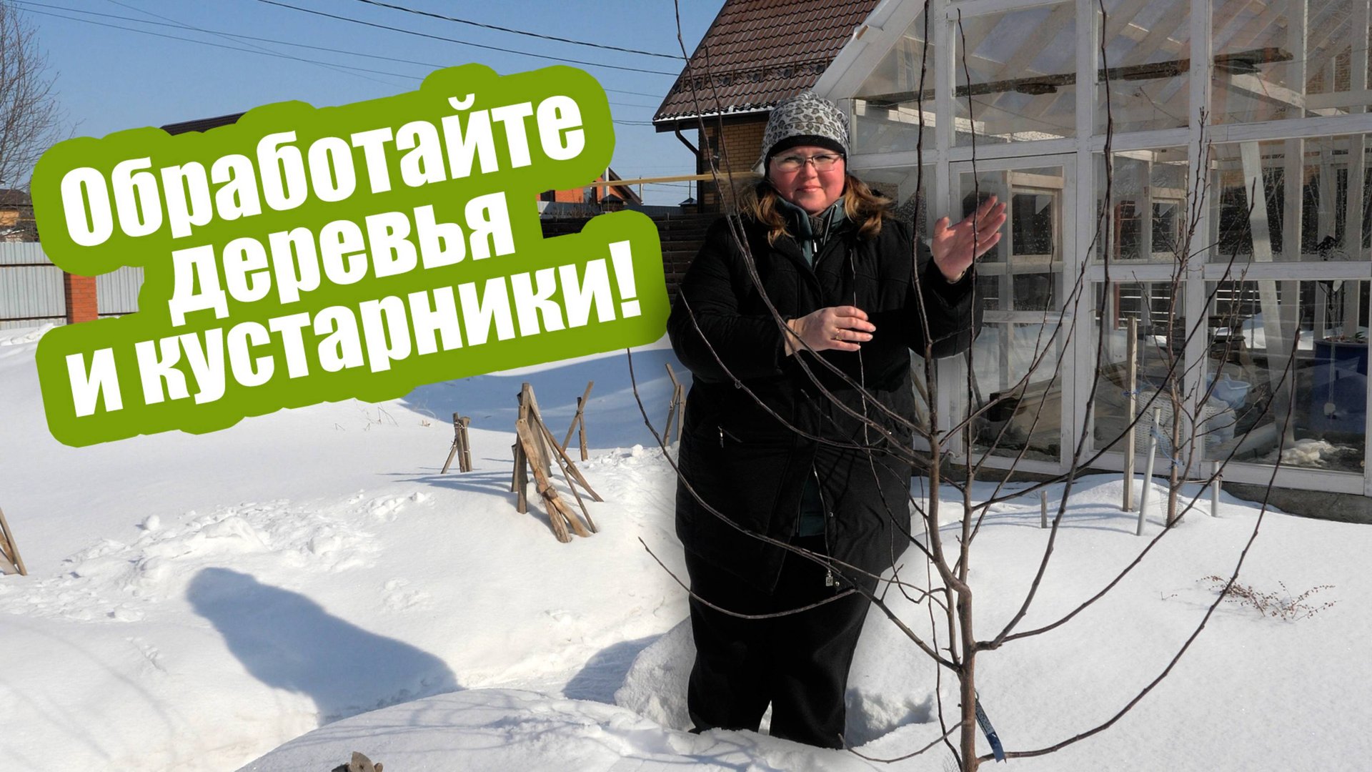 Обработка сада весной от болезней и вредителей! смотреть онлайн