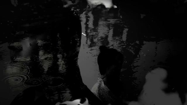 Shadows of Eternity 永恒之影 (Featuring Vocal - Fu) смотреть онлайн
