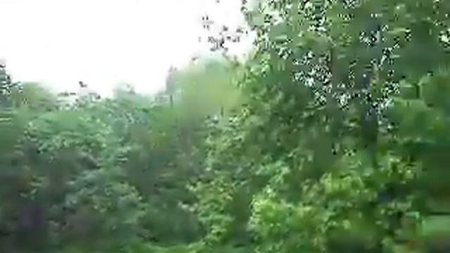 SAM_0300.MP4 смотреть онлайн