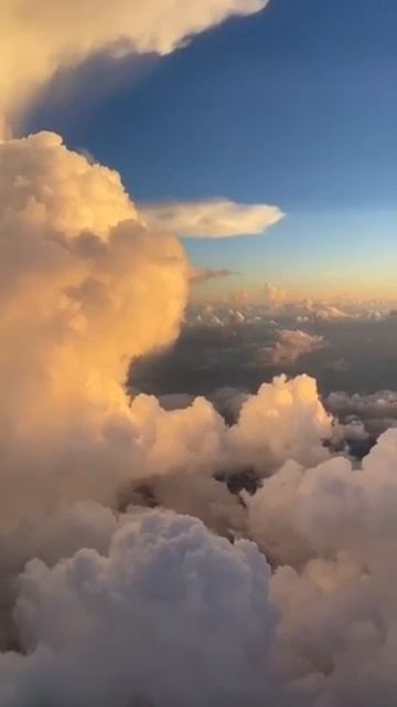 Журавли #душевнаяпесня #love #nature #музыка