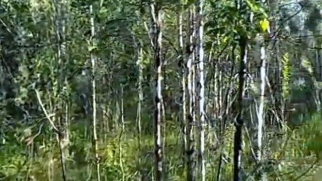 УТРО 21 июня смотреть онлайн