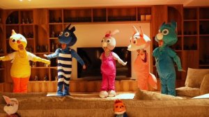 Цыплёнок Цыпа