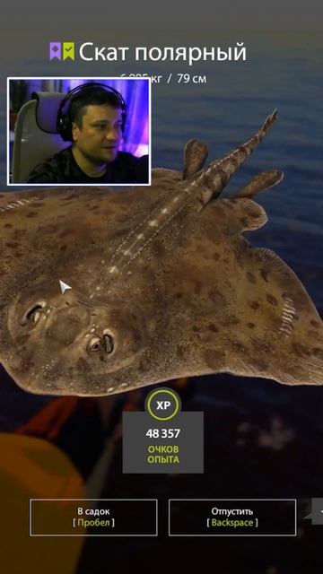 🎣 Норвежском море 🐟 Где Попался Скат Полярный 🎥 | 🐟Игра: "Русская рыбалка 4" #Shorts #рр4 #rf4 смотреть онлайн