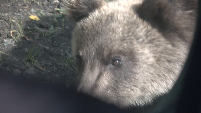 Любопытная девочка.