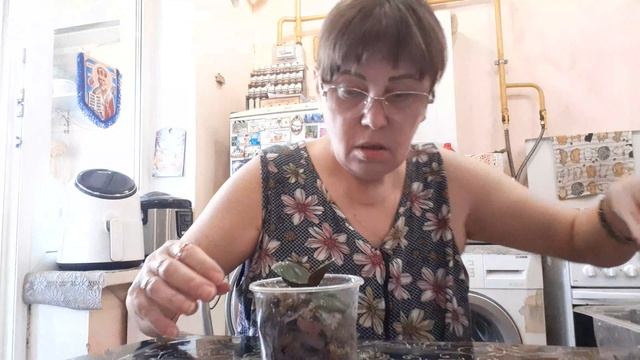 Ответы на вопросы,Пересадка Орхидей , Сеем Бычье Сердце ❤, интересно мне хватит 21 сотки 🤔😁 смотреть онлайн