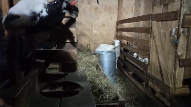 День без ремонта. Веселье за кадром. смотреть онлайн