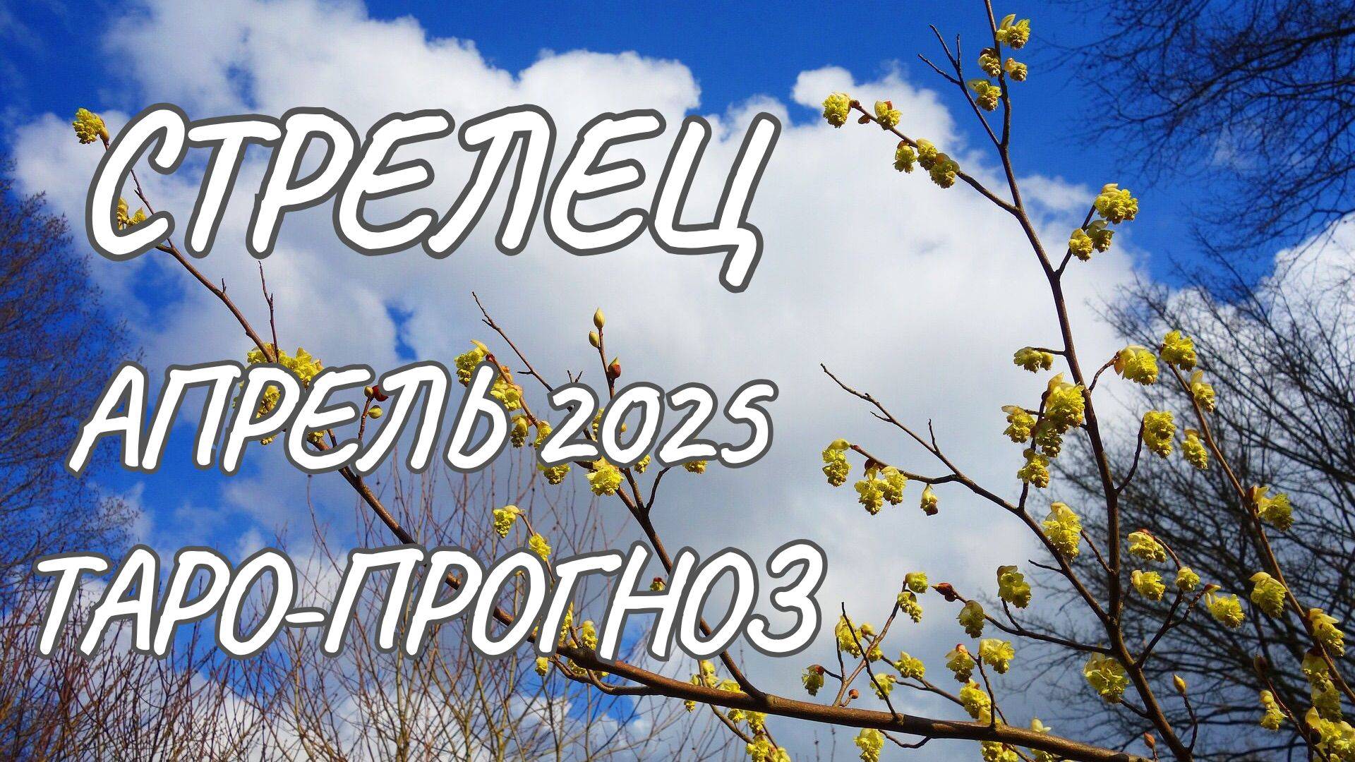 Стрелец ♐ Таро-прогноз на апрель 2025 года смотреть онлайн