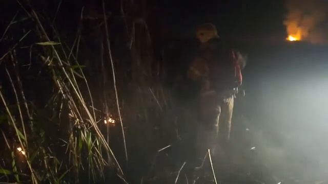 Горит камыш в Азовском районе_2 смотреть онлайн
