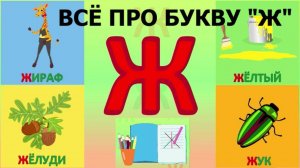 Алфавит Буква Ж + как писать + слова на Ж + #развивающиймультик #длядетей #учимбуквы #букваЖ