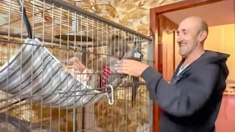 Влад повесил Люське новый большой гамак, посмотрите КАК они ОБА РАДУЮТСЯ))) смотреть онлайн
