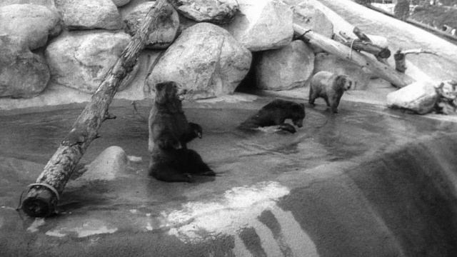 Как Дисней построил Америку 6 серия «Удивительный мир Disney» (документальный сериал, 2024)