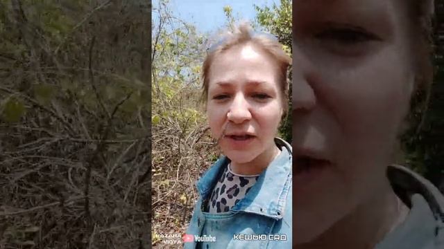 Черепашка и Море.Песни у костра.Знакомство с шитьем.Пошив фартуков.ДОБРОЕ УТРО. #ПоследнийГерой. смотреть онлайн