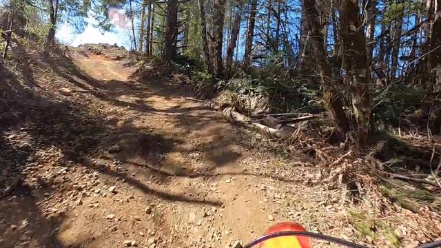 Running some trails in the Tillamook forest. 3-21-20 смотреть онлайн