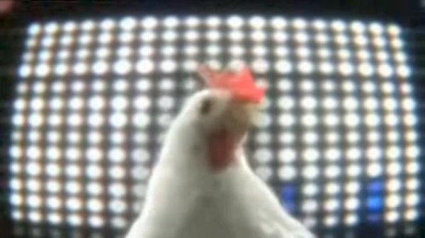 смешная курица