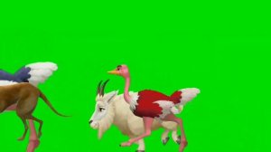 Animal Stampede Green Screen / 3D Animals Green Screen #greenscreen #animals