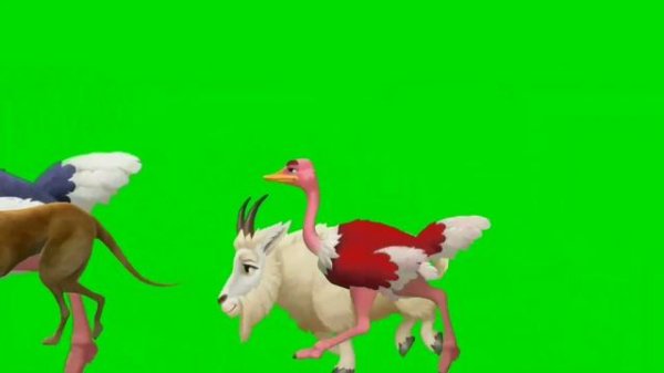 Animal Stampede Green Screen / 3D Animals Green Screen #greenscreen #animals