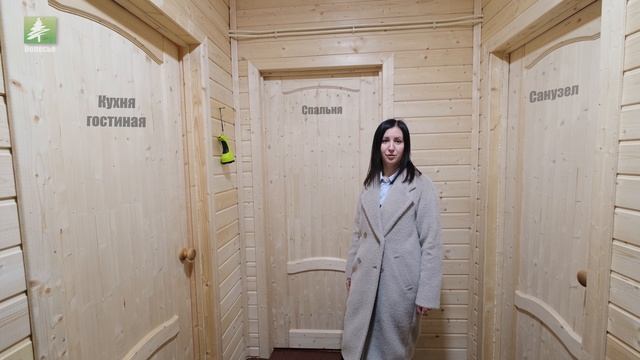 Каркасный дом Михнево