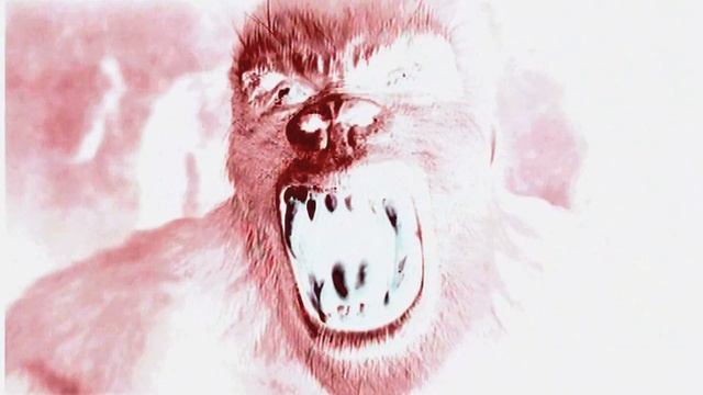 DEFORMER - HYBRID [HD] смотреть онлайн