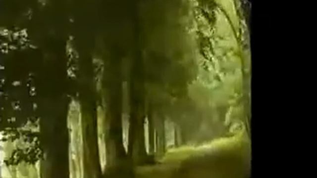 JARDIN DE ROSAS ANNETTE MORENO смотреть онлайн