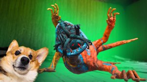 ДОУИ МОНСТР КАЖИСЬ НЕМНОГО РАЗОЗЛИЛСЯ!! Корги Кекс Говорящая собака