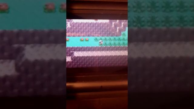 Pokemon Ruby Episode 61 : Mt. Pyrrhon смотреть онлайн