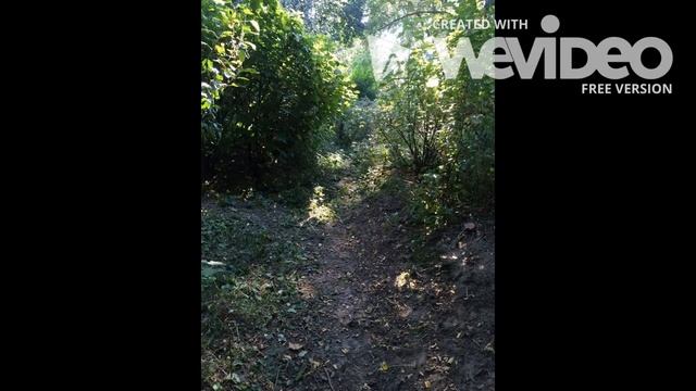 El primer deseo de Federico Garcia Lorca - Machitun de Chile смотреть онлайн