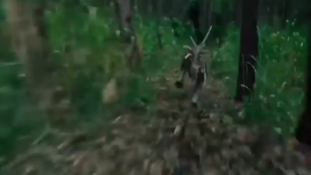 Türkçe Dublaj Yabancı Aksiyon Filmi 2021🔥🔥