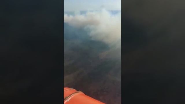 В ВКО горит сухостой в заповеднике (2) смотреть онлайн
