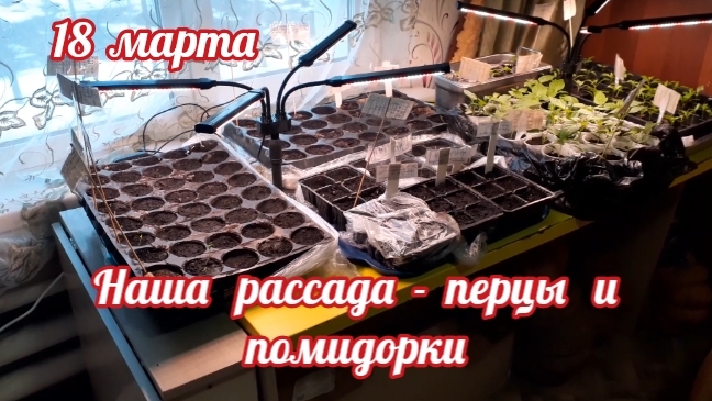 хорошие семена - хорошие всходы.... смотреть онлайн