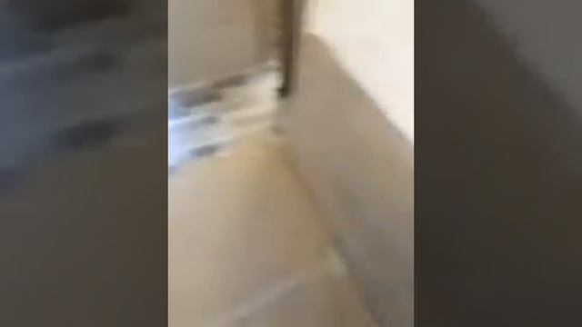 Завершение черновой фазы ремонта. Осталось электрика, сантехника, мебель и декор. смотреть онлайн