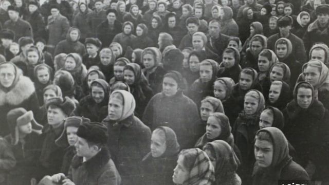 PIO9348_animation смотреть онлайн