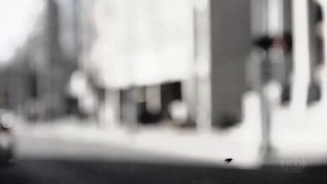 Trunk Bound Regime - "Free" смотреть онлайн