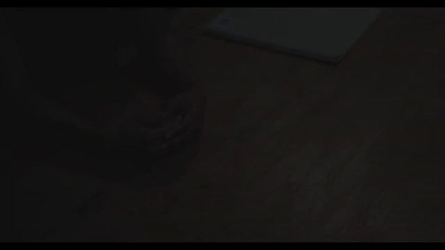 MMCC8035 - Dawn to Dusk - Documentary Film смотреть онлайн