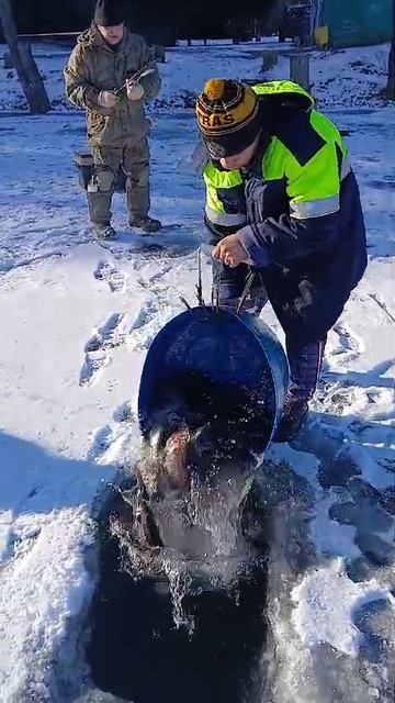 запуск смотреть онлайн