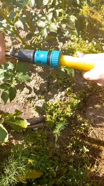 полив картофеля смотреть онлайн